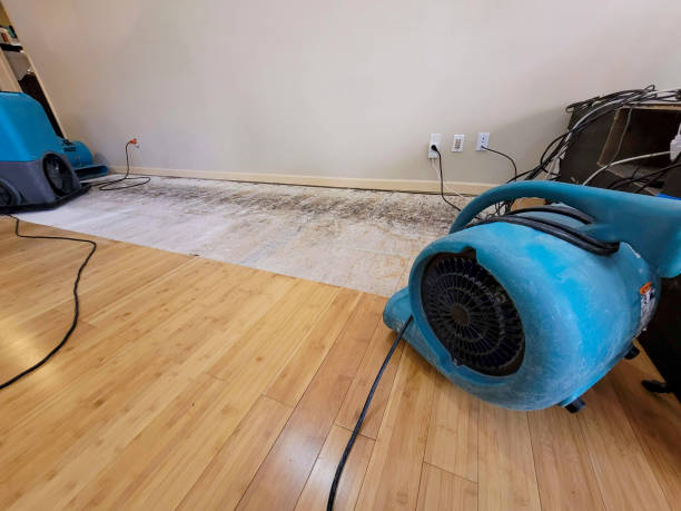 Professional Water Removal technician working in Custar, OH
